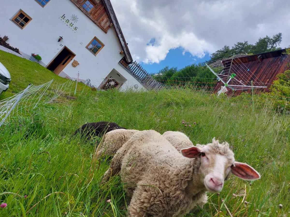 Haus Edelweiss Bei Samnaun Hébergement de vacances Spiss