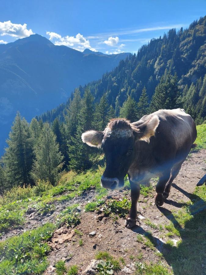 Haus Edelweiss Bei Samnaun * Spiss