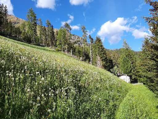 Haus Edelweiss Bei Samnaun *